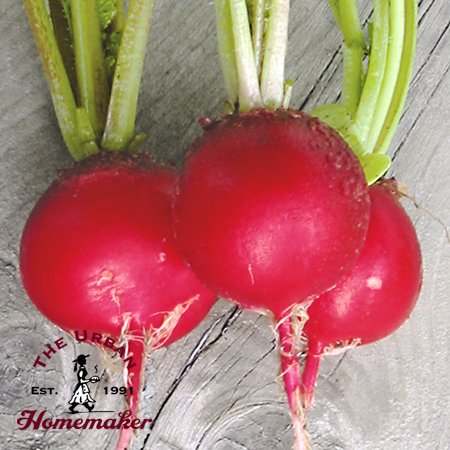 Cherry Belle Radish - Certified Organic - NON GMO