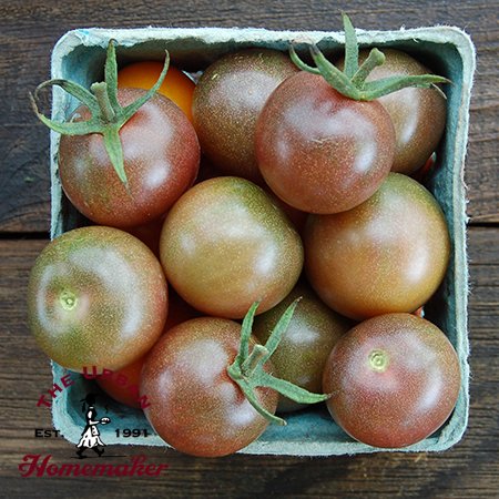 Black Cherry Tomato - Certified Organic - NON GMO