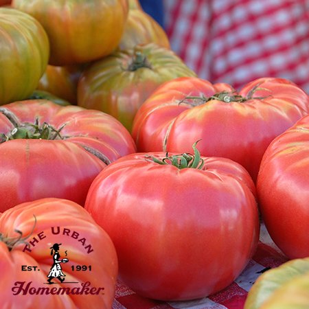 Brandywine Tomato - Certified Organic - NON GMO