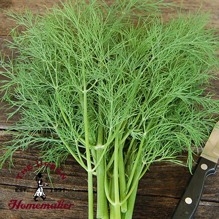 Bouquet Dill - Certified Organic - NON GMO