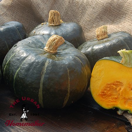 Burgess Buttercup Winter Squash -Certified Organic - NON GMO