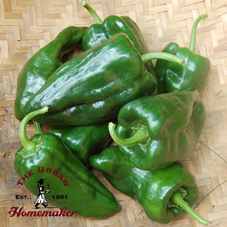 Ancho Poblano Hot Pepper -Certified Organic- NON GMO