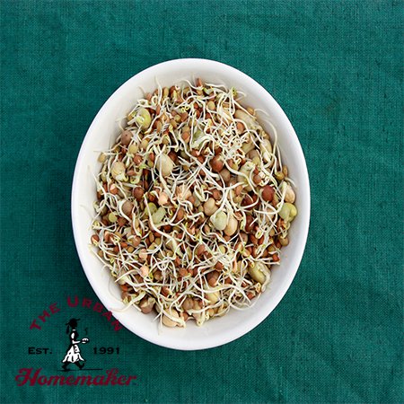 Crunchy Bean Sprouting Seed Mix -Organic-