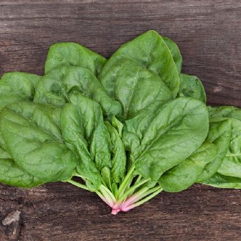 Butterflay Spinach - Certified Organic - NON GMO