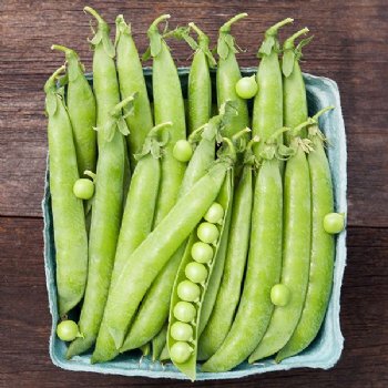 Green Arrow Shell Pea