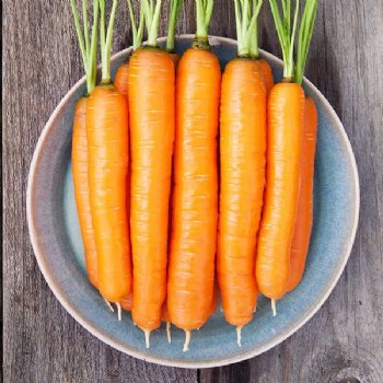 Napoli Carrot