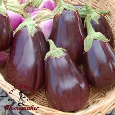 Black Beauty Eggplant - Certified Organic
