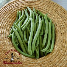 Provider Bush Bean - Certified Organic