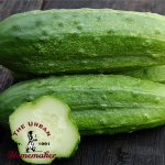 National Pickling Cucumber - Certified Organic