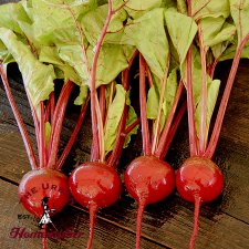 Detroit Dark Red Beet - Certified Organic