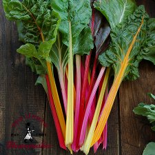 Rainbow Blend Chard - Certified Organic