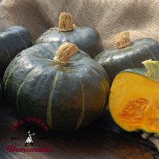 Burgess Buttercup Winter Squash -Certified Organic-