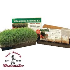 Handy Pantry Wheatgrass Growing Kit