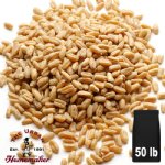 Prairie Gold Hard White Wheat - 50 lb. Bag