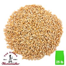 Organic Soft White "Pastry" Wheat - 25 lb. Bag