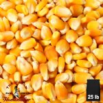 Organic Yellow Corn - 25 lb. Bag