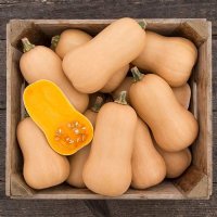Brulee Butternut Winter Squash - Certified Organic - NON GMO