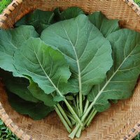 Champion Collard Greens