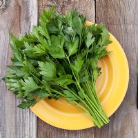 Italian Flat Leaf Parsley - Certified Organic - NON-GMO 