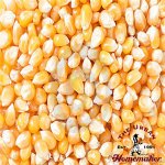 Popcorn, Organic-25 lb