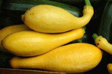 Summer Squash 