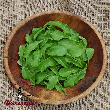 Astro Arugula - Certified Organic - NON GMO