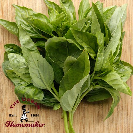 Genovese Basil - Certified Organic - NON GMO