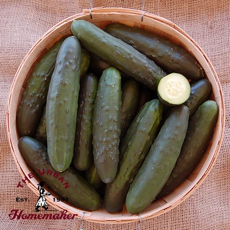 Marketmore 76 Cucumber - Certified Organic