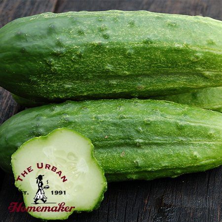 National Pickling Cucumber - Certified Organic