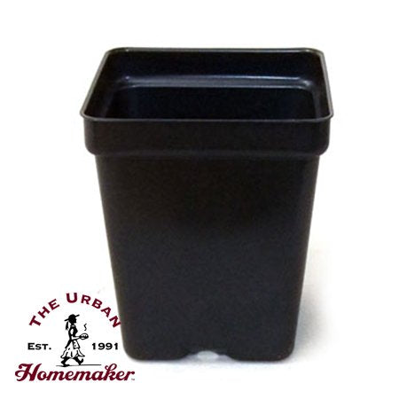 Square Form Pots, 10 Pack