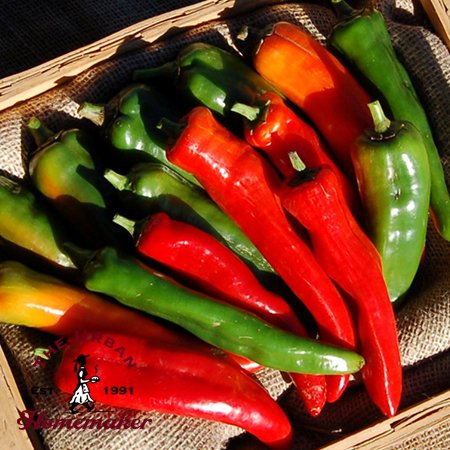 NuMex Joe Anaheim Pepper -Certified Organic-