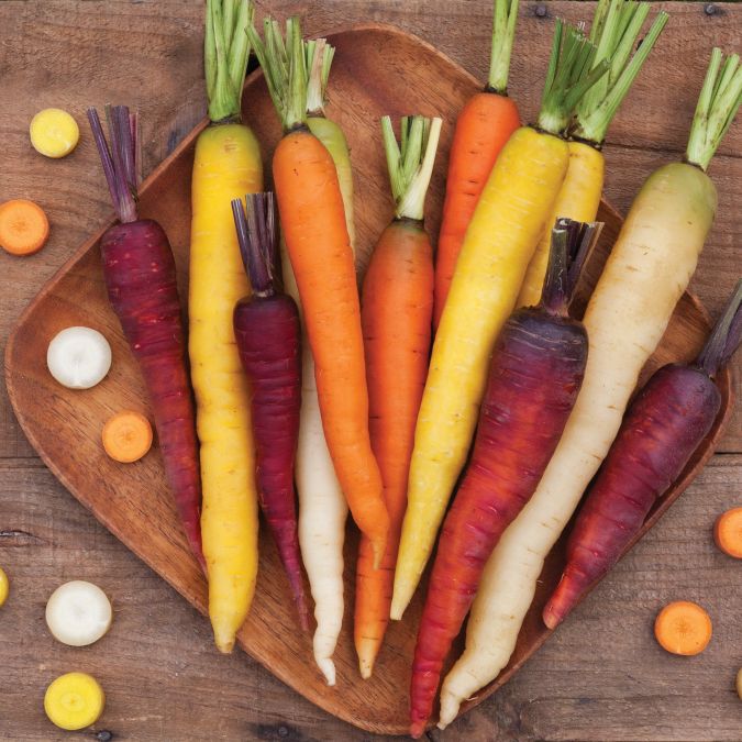 Starburst Carrot Blend