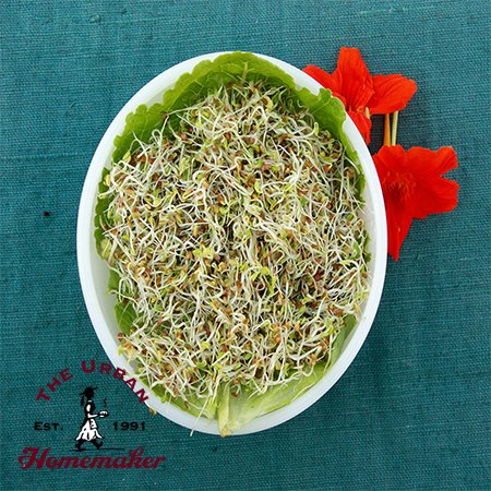Sandwich Booster Sprouting Seed Mix -Organic-