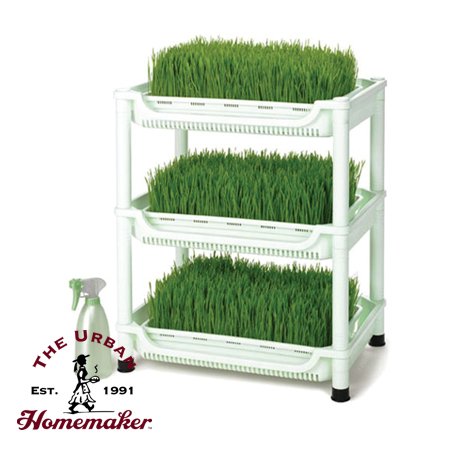 Sproutman’s Soil-Free Wheatgrass Grower