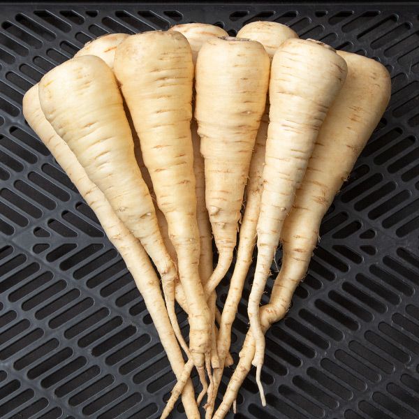 Lancer Parsnip - Certified Organic