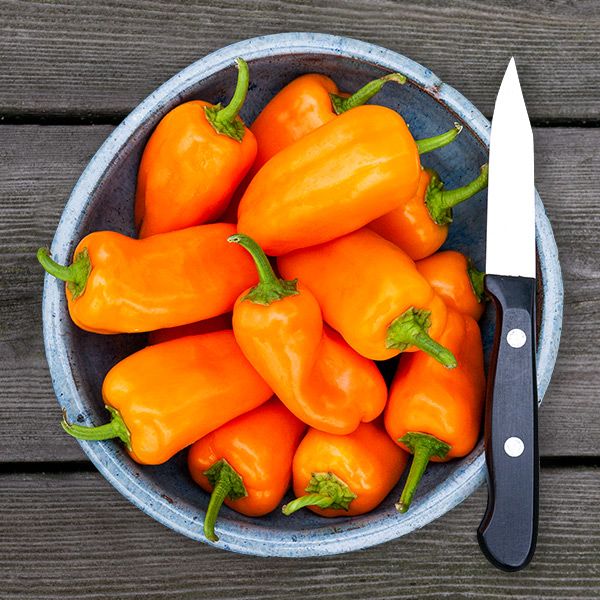 Picnic Orange Pepper - Certified Organic