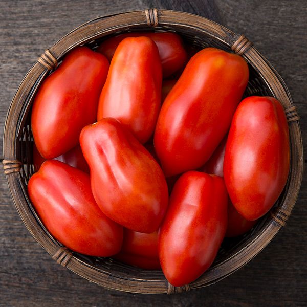San Marzano Paste Tomato - Certified Organic