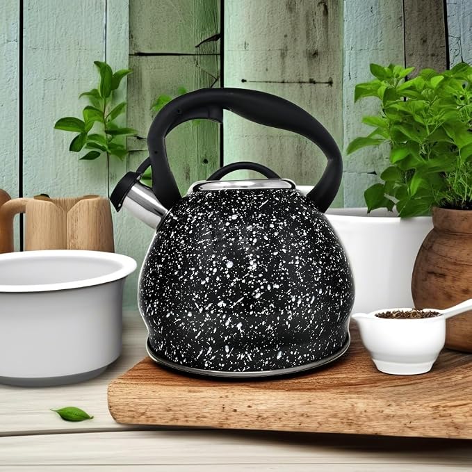 Stainless Steel Whistling Tea Kettle Black