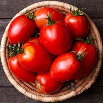 Amish Paste Tomato - Certified Organic - NON-GMO