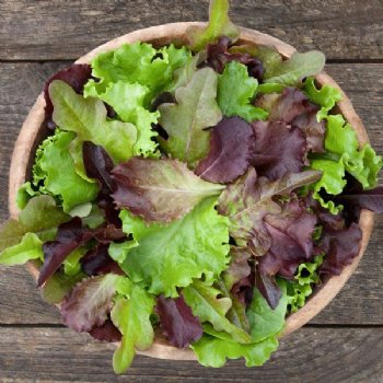 DMR Lettuce Blend - Certified Organic