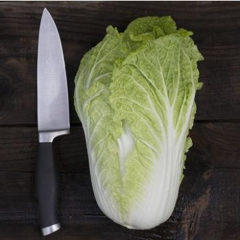 Emiko Napa Cabbage- Certified Organic