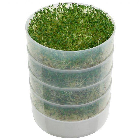 Deluxe Kitchen Crop Sprouter