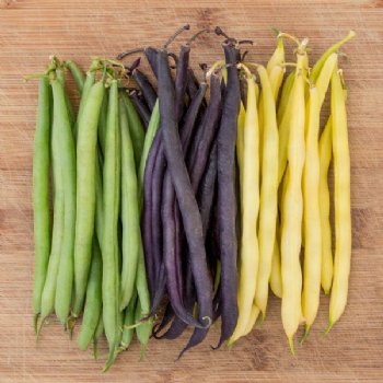 Mardi Gras Blend Beans - non-GMO