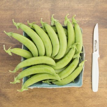 SS 141 Snap Pea - Certified Organic
