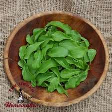 Astro Arugula - Certified Organic