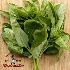  Genovese Basil - Certified Organic