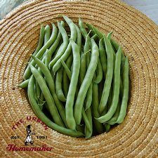 Provider Snap Bush Bean - Certified Organic
