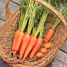 Negovia Carrot - Certified Organic