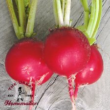 Cherry Belle Radish - Certified Organic