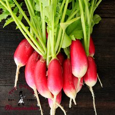 French Breakfast Radish - Certified Organic